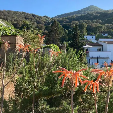 Сasa de vacaciones Casa Sprizze - Argonautivacanze *